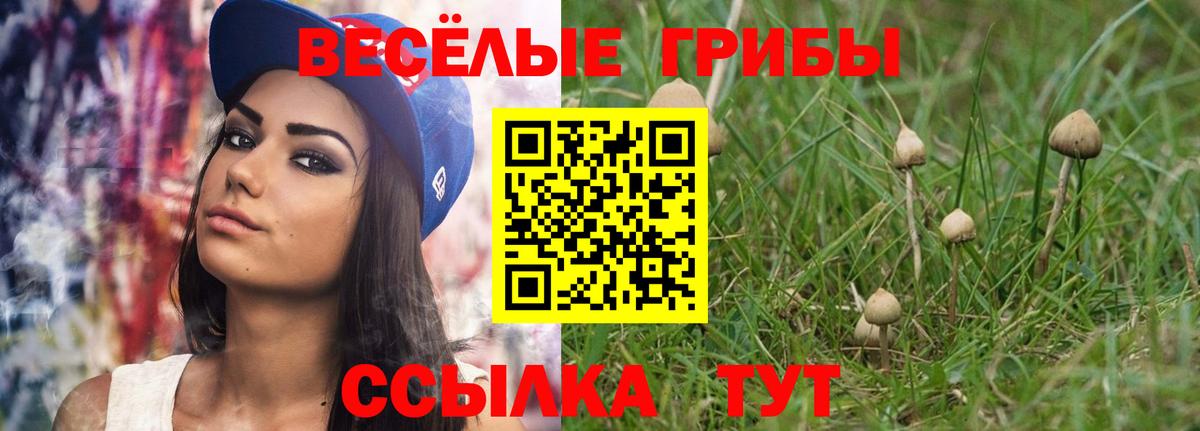 Псилоцибиновые грибы GOLDEN TEACHER Егорьевск