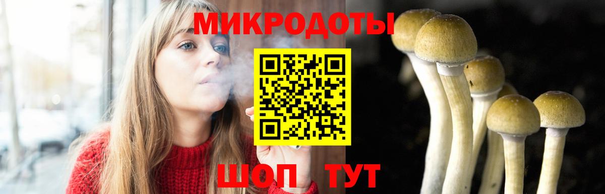 Егорьевск  Галлюциногенные грибы Psilocybine cubensis  как найти наркотики  Вход с VPN 